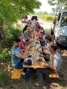 Domaine Barmès-Buecher