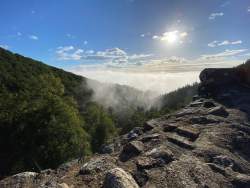 Une météo idéale pour les vendanges