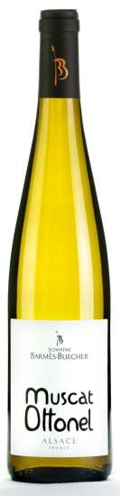 Muscat Ottonel