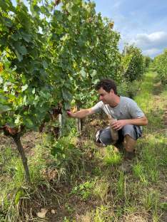 Domaine Barmes-Buecher